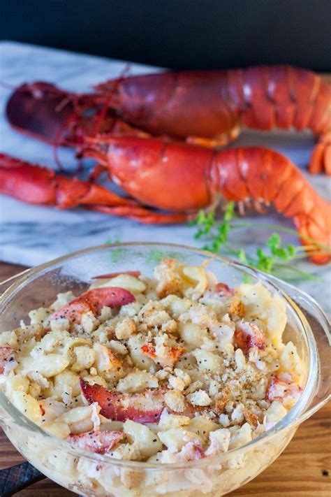 Lobster Mac And Cheese Recipe Binkys Culinary Carnival
