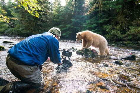 Qanda With Director Ian Mcallister Great Bear Rainforest