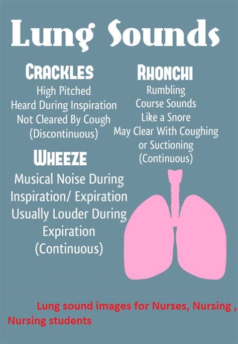 Nursing Mnemonics Lung Sounds Wheezing Crackling Ronchi And More