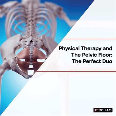 Physical Therapy And Pelvic Floor Exercises The Perfect Duo [p]rehab
