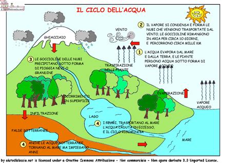 Coach Brita Il Ciclo Dellacqua