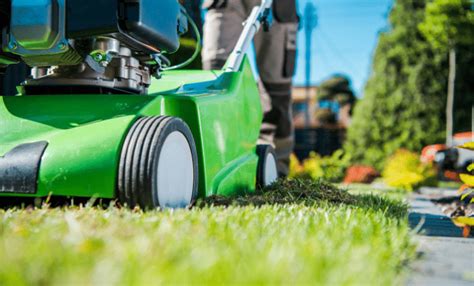 4 Benefits Of Professional Lawn Care The Southern Landscape Group