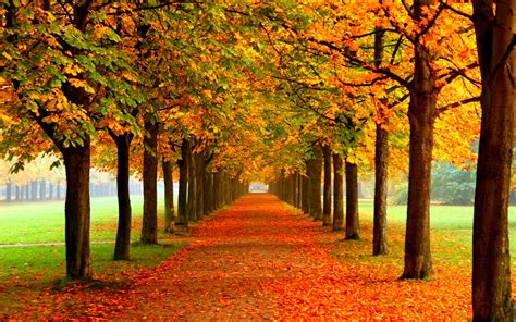 Fall Wallpapers 06 2560 X 1600
