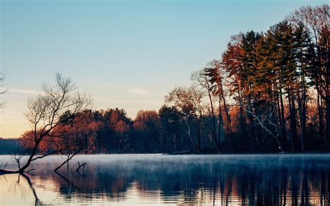 Lake Surface Mist Forest Trees Morning Late Autumn Wallpapers Hd