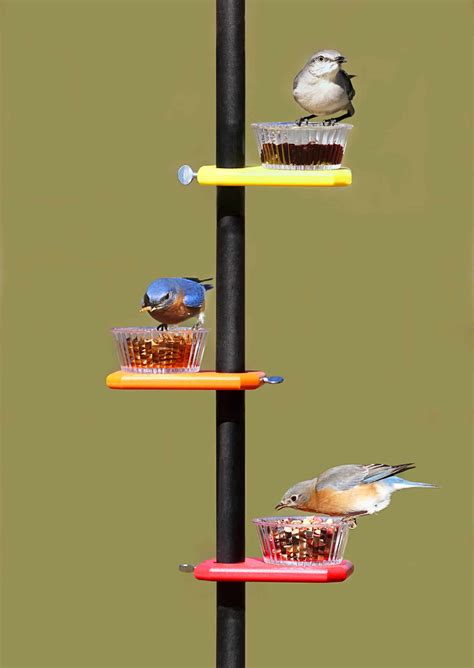 Where to mount a birdhouse? Duncraft.com: Pole Mount Trio Set