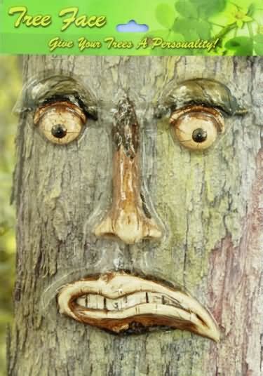 Funny Tree Face Erofound