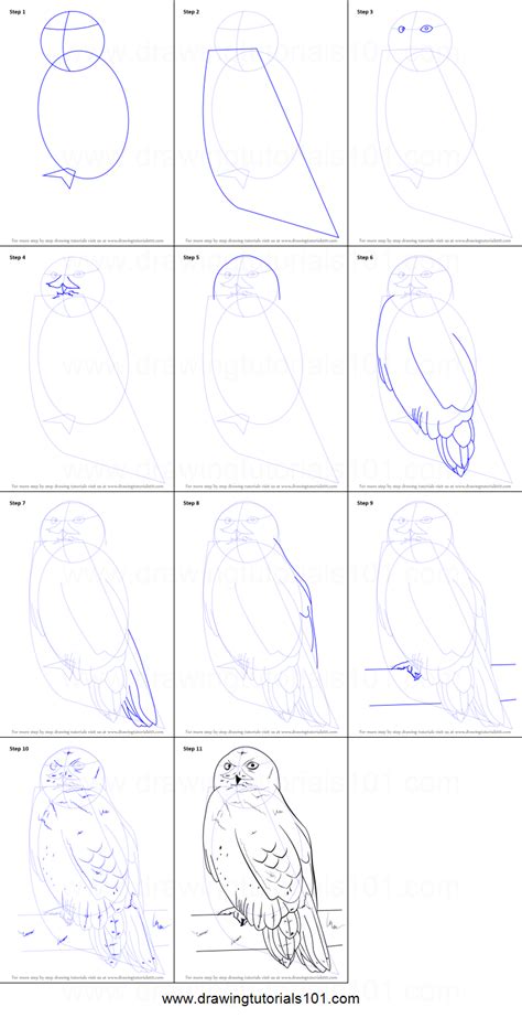 We did not find results for: How to Draw a Snowy Owl printable step by step drawing ...