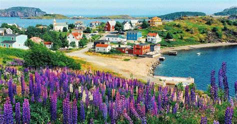 10 Cute Towns In Newfoundland That Are Definitely Worth The Road Trip