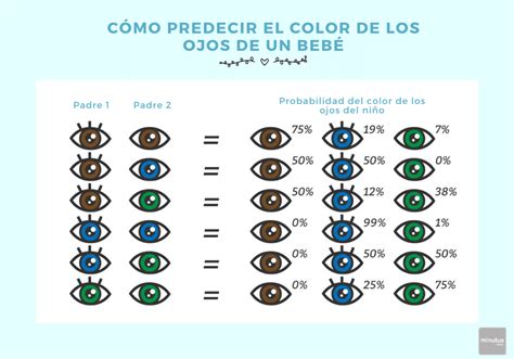 ¿cómo Se Define El Color De Los Ojos De Bebés Minutus Shop