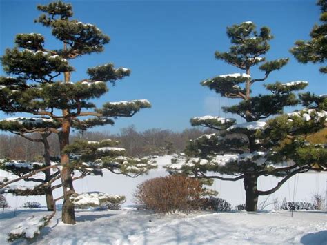Order chicago botanic garden products and take additional discount with the. Chicago Botanic Garden Snowshoeing