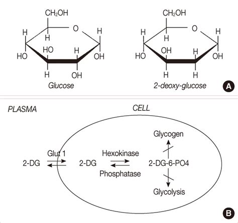 Rate, like, and subscribe follow our twitter: (A) Structural comparison of glucose and 2-deoxy-D-glucose ...