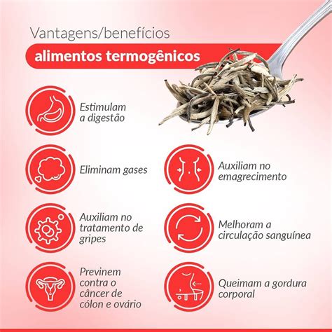 O Que é Alimento Magnetizado