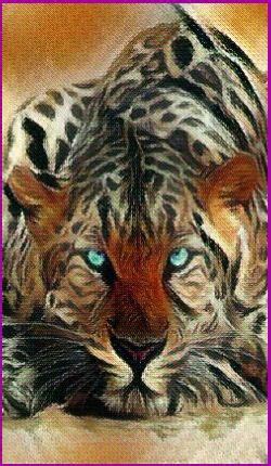 Meanings for your Spirit Animal Guides with The Jaguar Animal Spirit