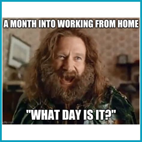 15 Laughable Remote Work Memes We All Relate To