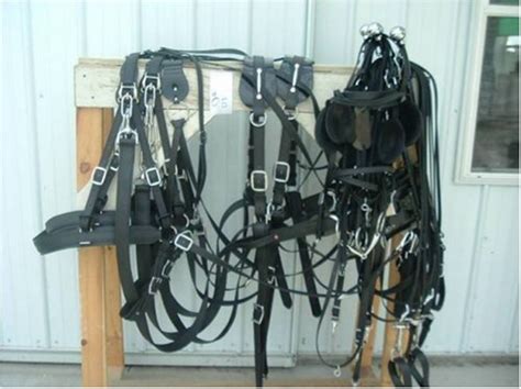 Amish Made Biothane Draft Horse Team Harness Review Forxninja1 Store