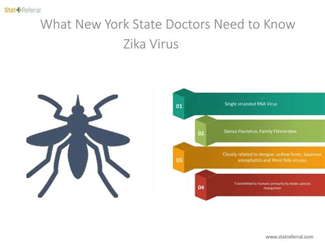 ppt what new york state doctors need to know zika virus powerpoint presentation id 7303064