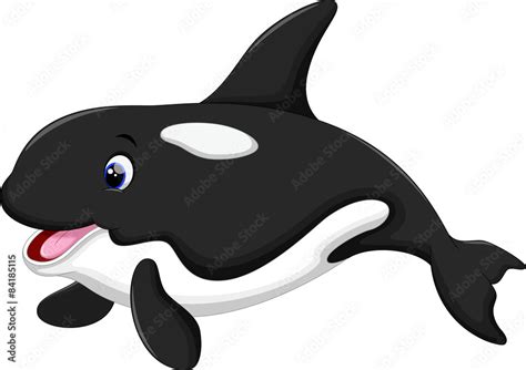 Cute Killer Whale Cartoon Stock Vector Adobe Stock