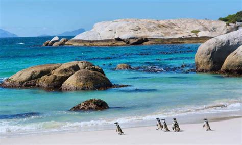 Cape Town Tour Packages Explore The Best Of Cape Town