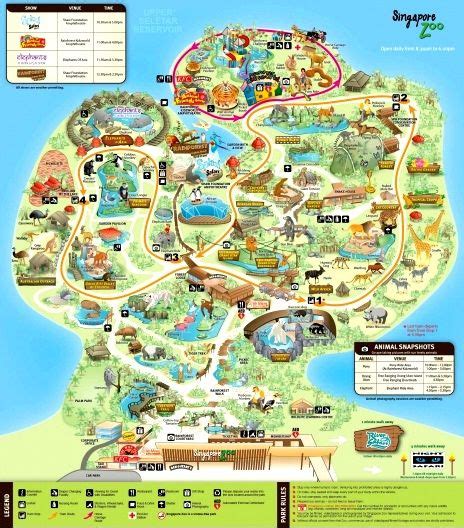 Singapore Zoo Entrance Fee Open Hours Map Location And Tickets Zoo