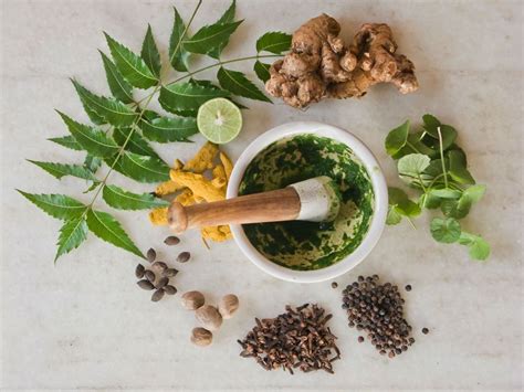Discover Ayurvedas Top Five Most Powerful Medicinal Plants To Heal And