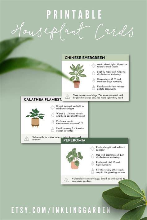 Plant Care Cards Plant Labels Indoor Printable Plant Care Etsy