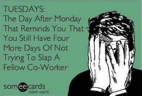 101 Funny Tuesday Memes When You Re Happy You Survived A Workday Memes Happy Tuesday Meme