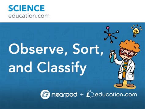 Observe, Sort, and Classify