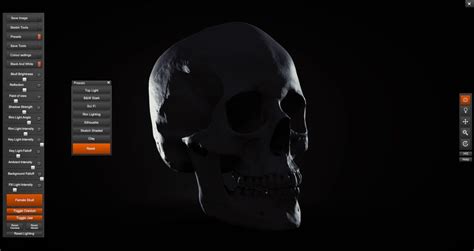 Skull Sketcher V2 Anatomy 360