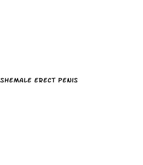Shemale Erect Penis