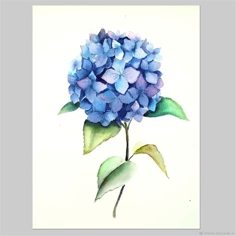 Painting Watercolor Hydrangea Shop Online On Livemaster With Shipping