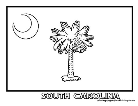 Sc Flag Coloring Pages South Carolina State Flag Flag Colors