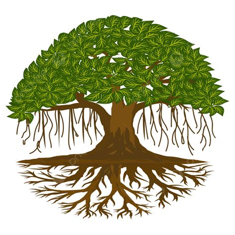 Tree Roots Vector Clipart Image Tree With Roots Png S