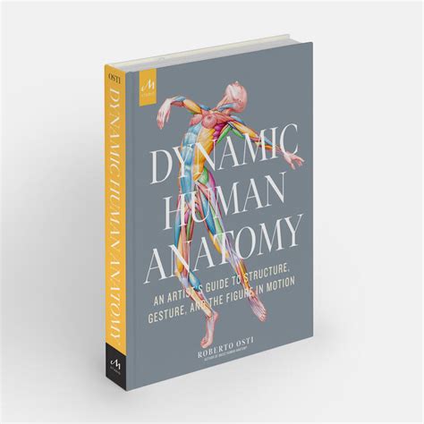 Dynamic Human Anatomy An Artists Guide To Structure Gesture And The