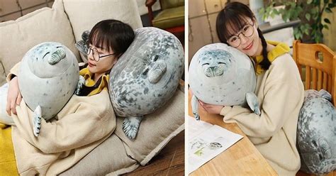 These Squishy Pillows That Look Like Real Seals Are Perfect For Hugging