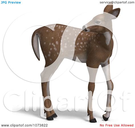 Clipart 3d Baby Yearling Deer Fawn 1 Royalty Free Cgi Illustration By