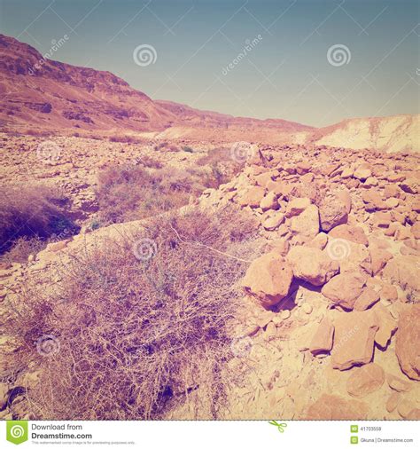 Stone Desert Stock Photo Image Of Ecology Palestine 41703558