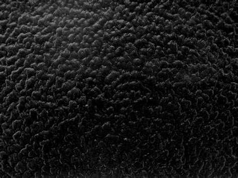 Black Textured Glass with Bumpy Surface Picture | Free Photograph ...