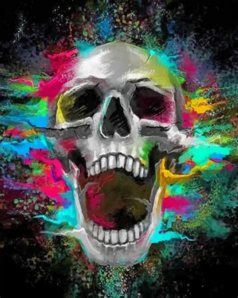 Aesthetic Skull Paint By Numbers Paint By Numbers For Adult