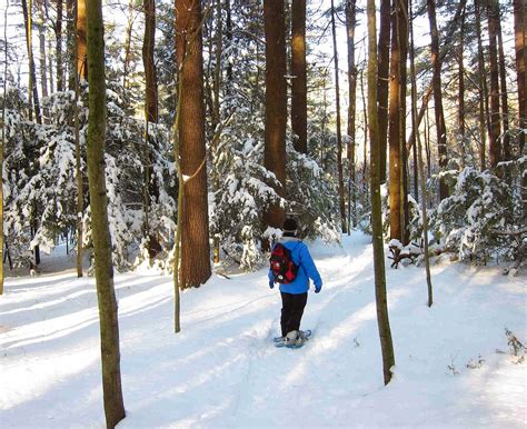 Saratoga Woods And Waterways Walking The Snowy Woods