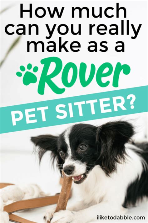 Rover Pet Sitting Rates Cat Meme Stock Pictures And Photos