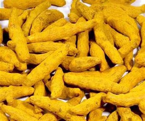 Organic Dried Turmeric Finger At Rs Kg Haldi Stick In Bhilai Id