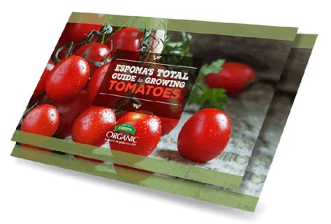 Growing Tomatoes Guide Espoma