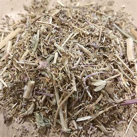 Pennyroyal Mint Tea Dried Herbplant Mentha Pulegium