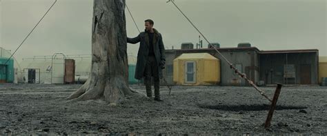 Check spelling or type a new query. Pin by Vito Lo on Cinematography | Blade runner 2049 ...