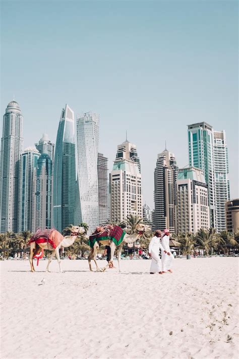 Absolute Must Do Activities In Dubai