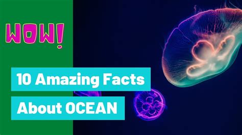 Top 10 Amazing Facts About Ocean Youtube