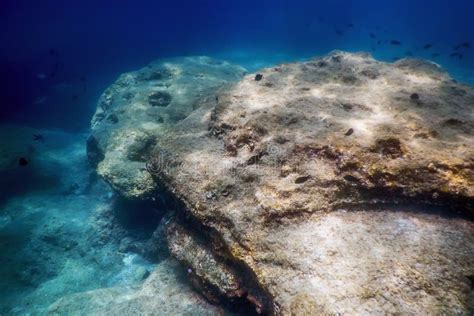 Sea Life Underwater Rocks Sunlight Underwater Life Stock Image Image