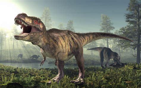 Blog De Los Niños Dinosaurios Tipos De Dinosaurios
