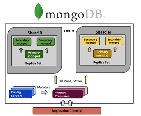 Mongodb Working With Databases Database Device