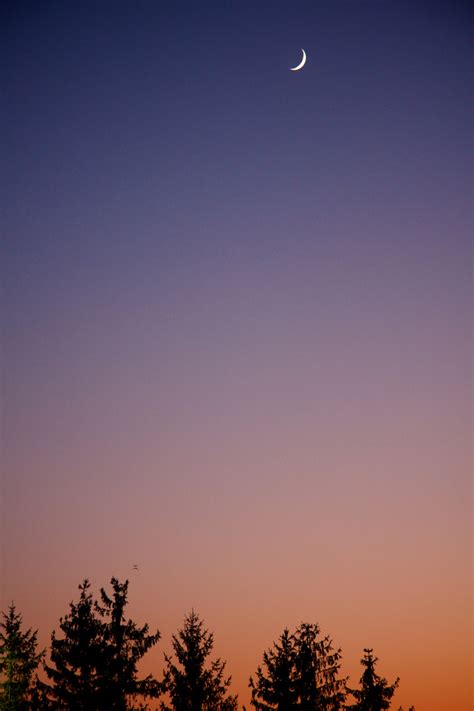 Michaele Boncaro Photography: Blog